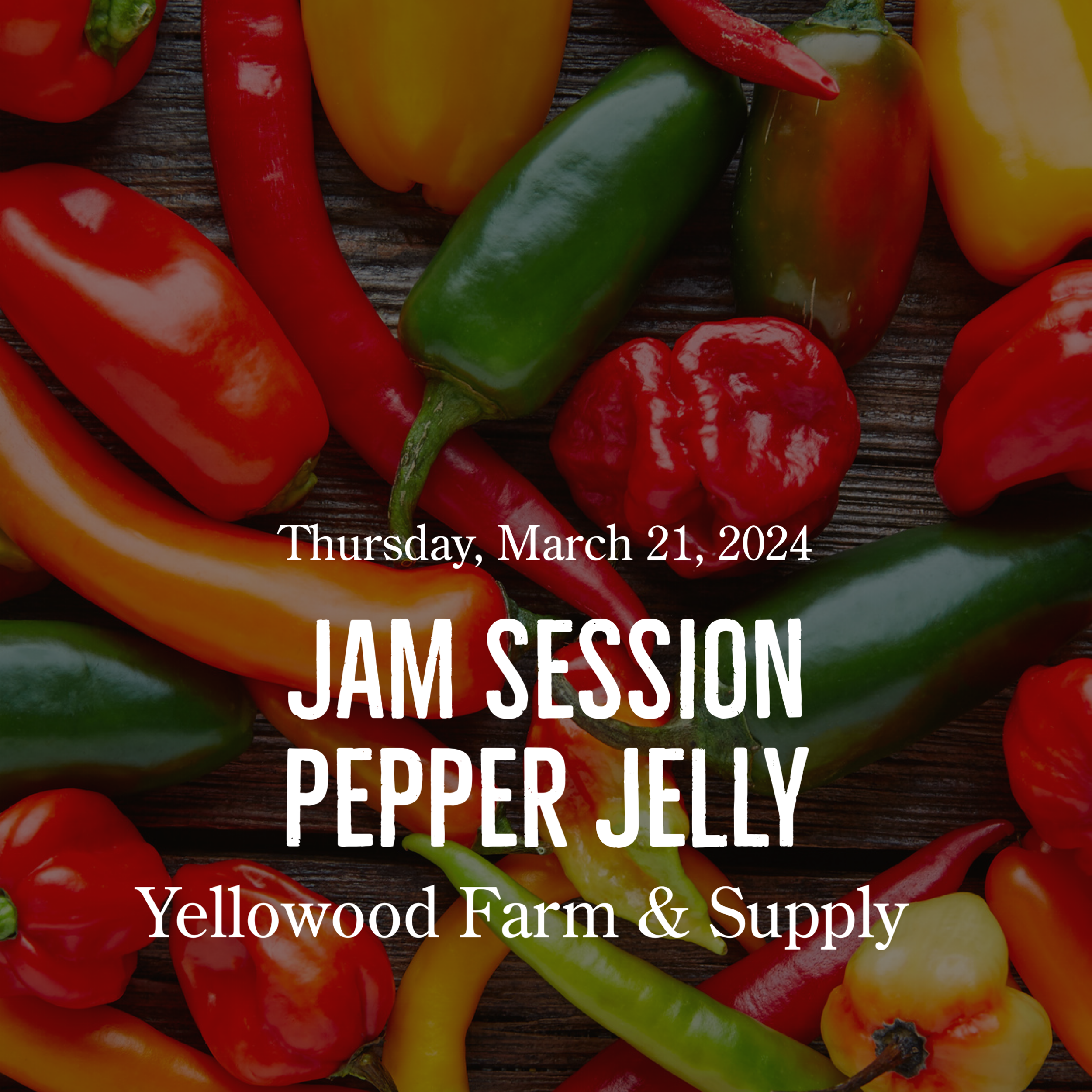 Jam Session - Pepper Jelly 