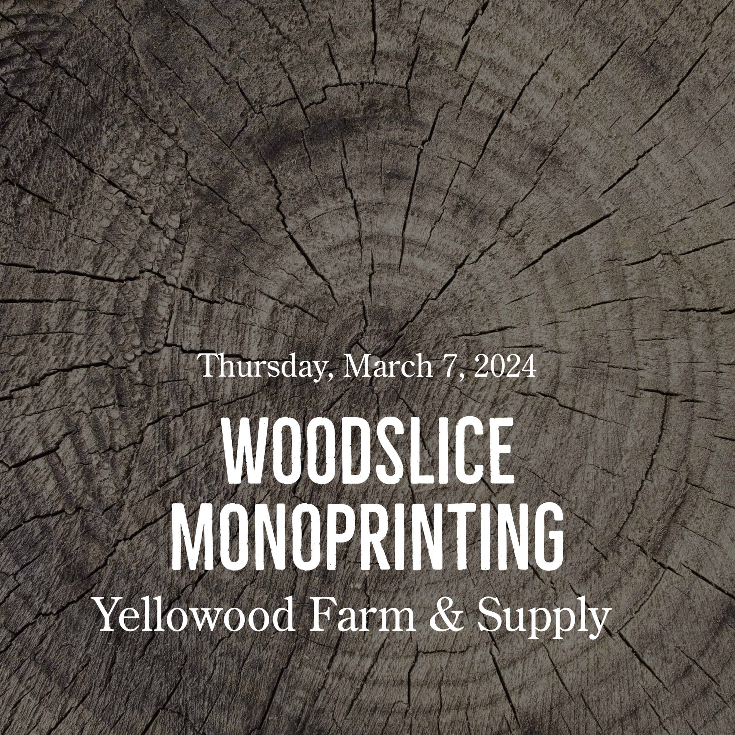 Woodslice Monoprinting Workshop