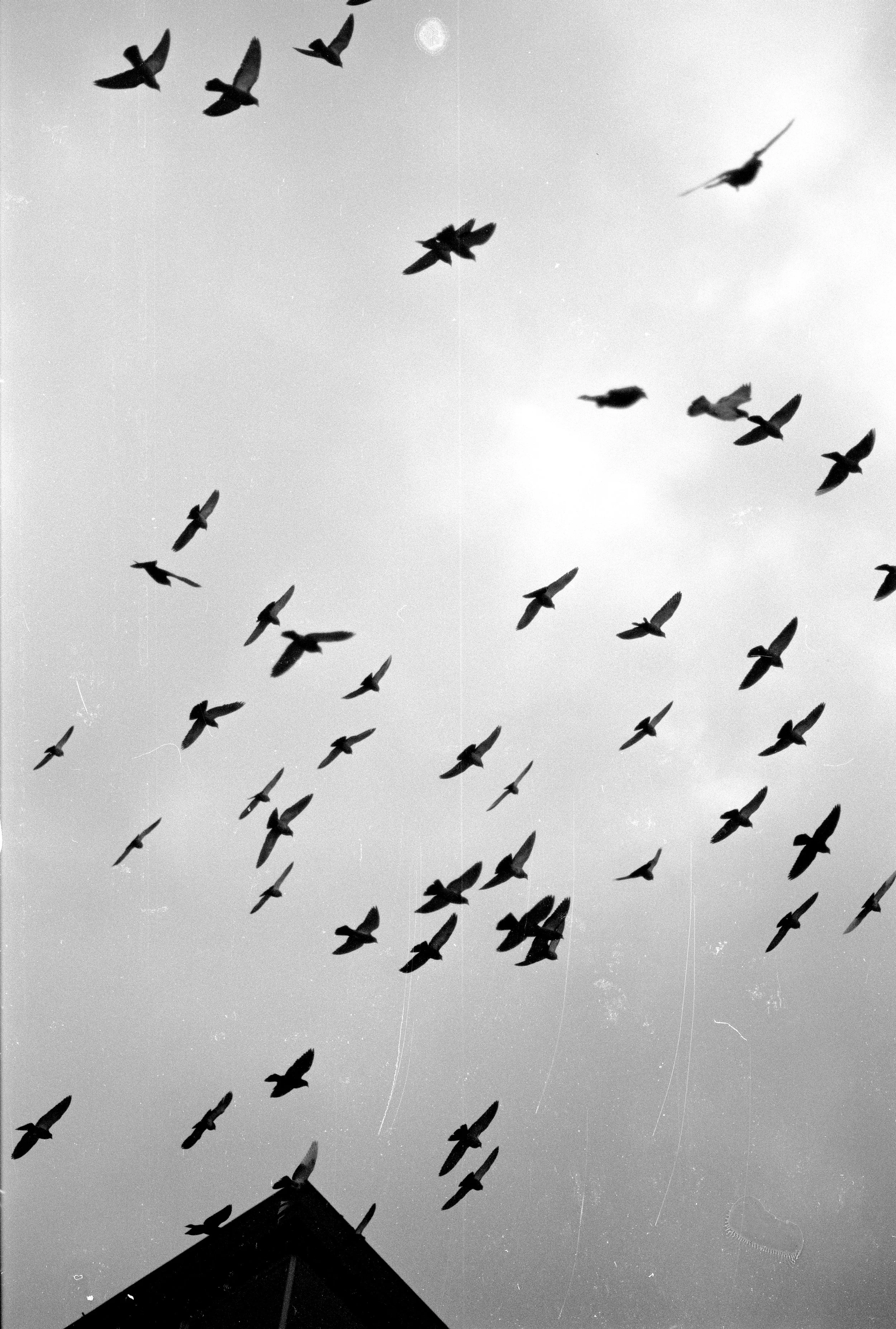 Bilde 5