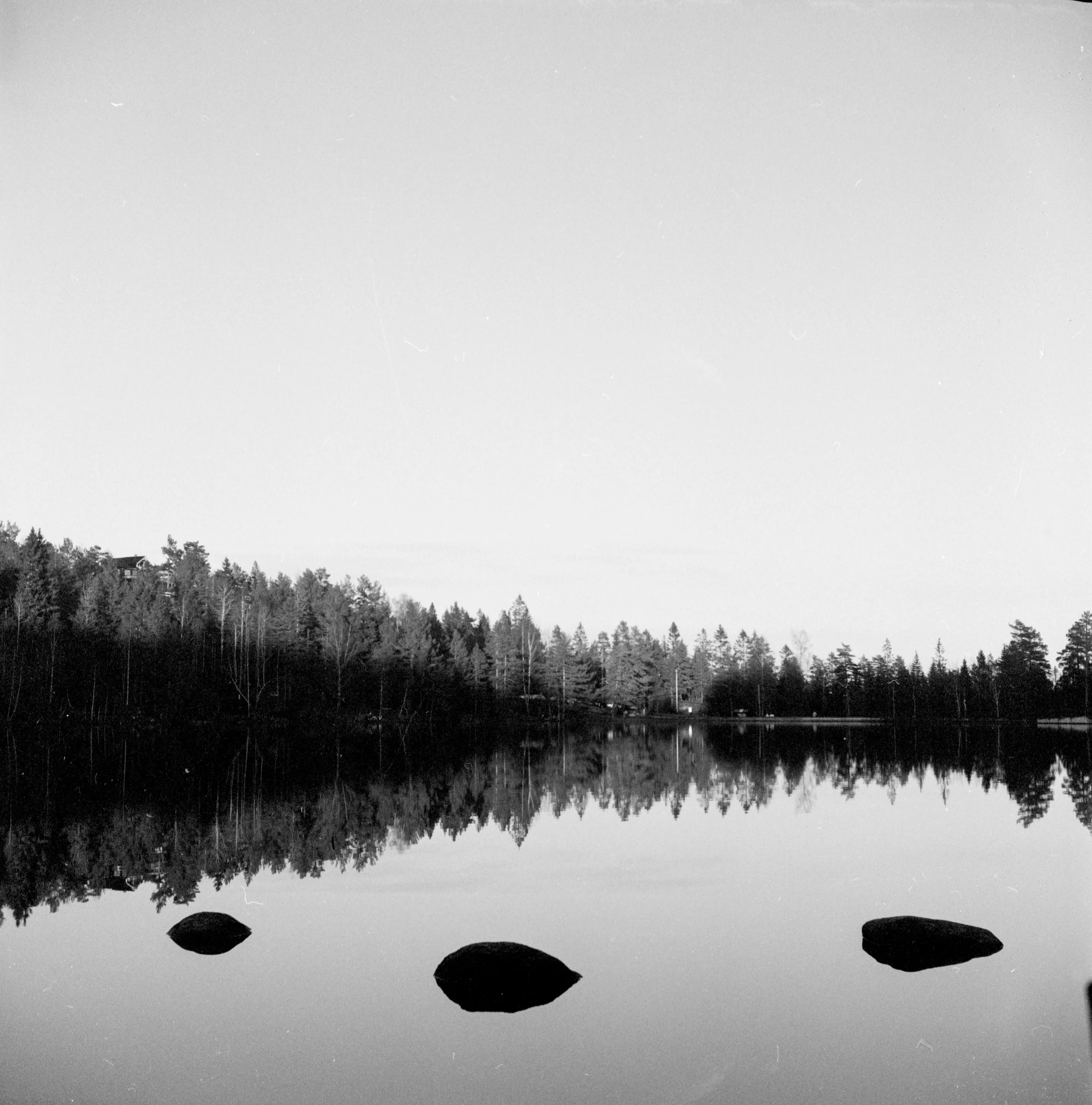 Bilde 6