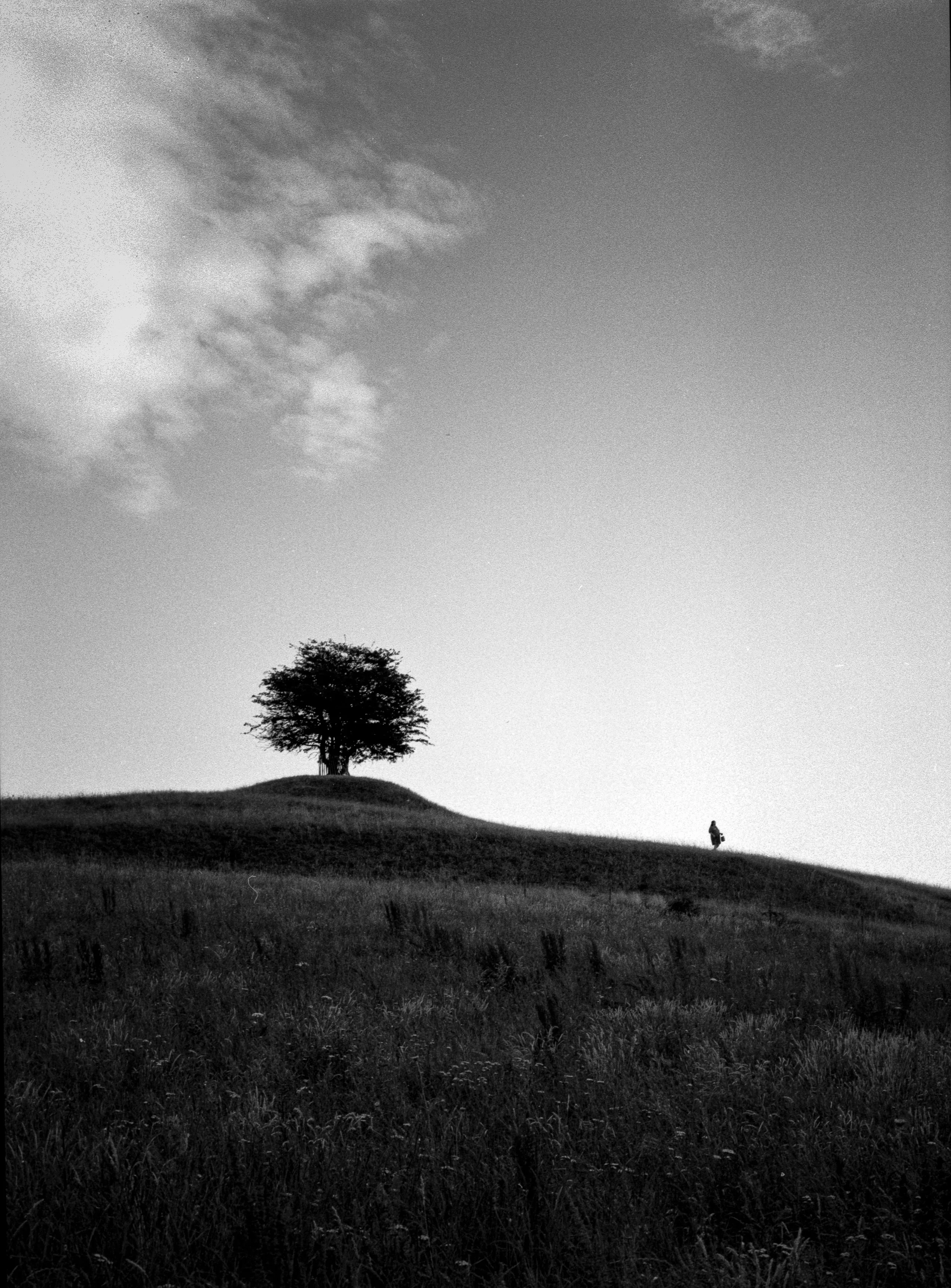 Analoge bilder