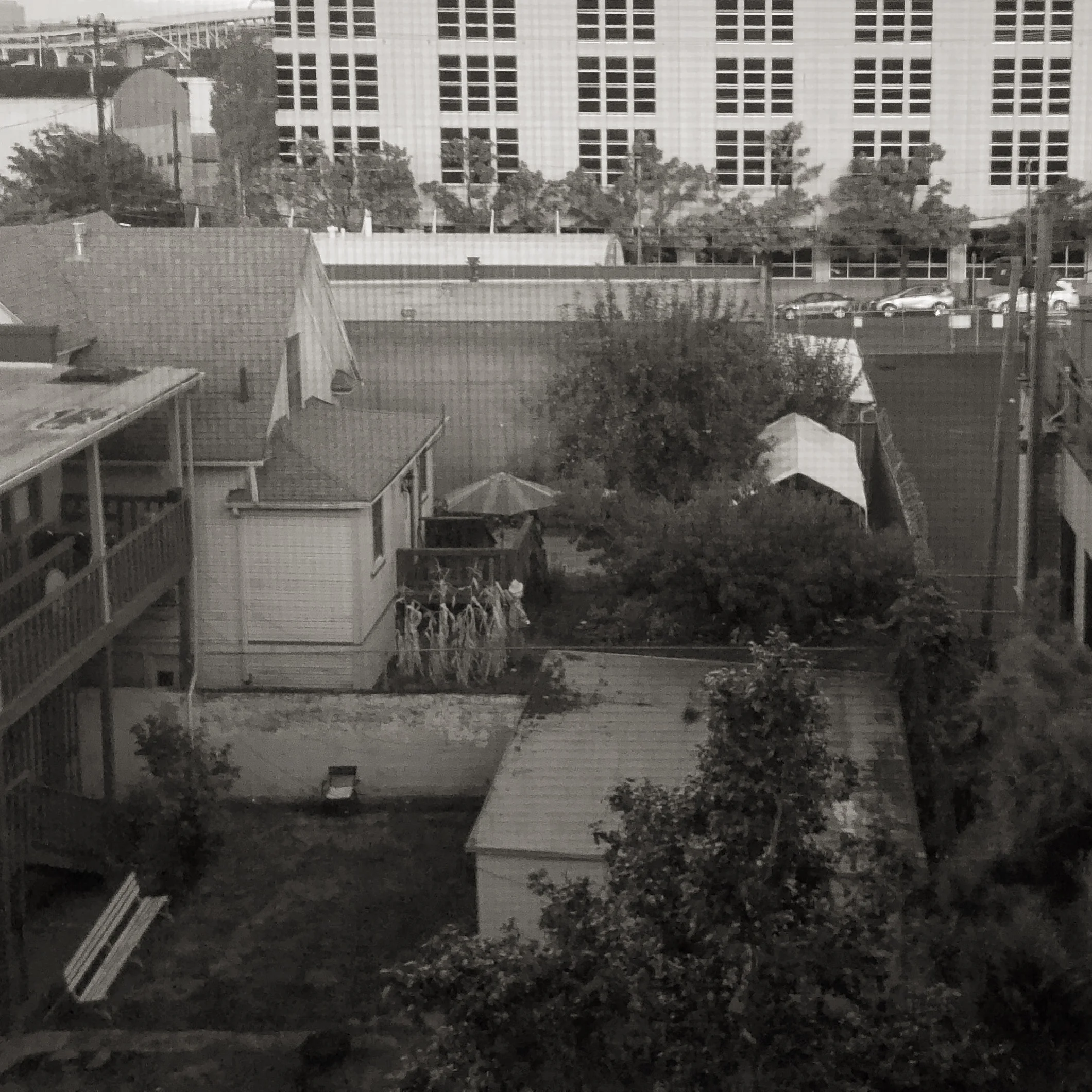 Portland, from my fourth floor apartment window