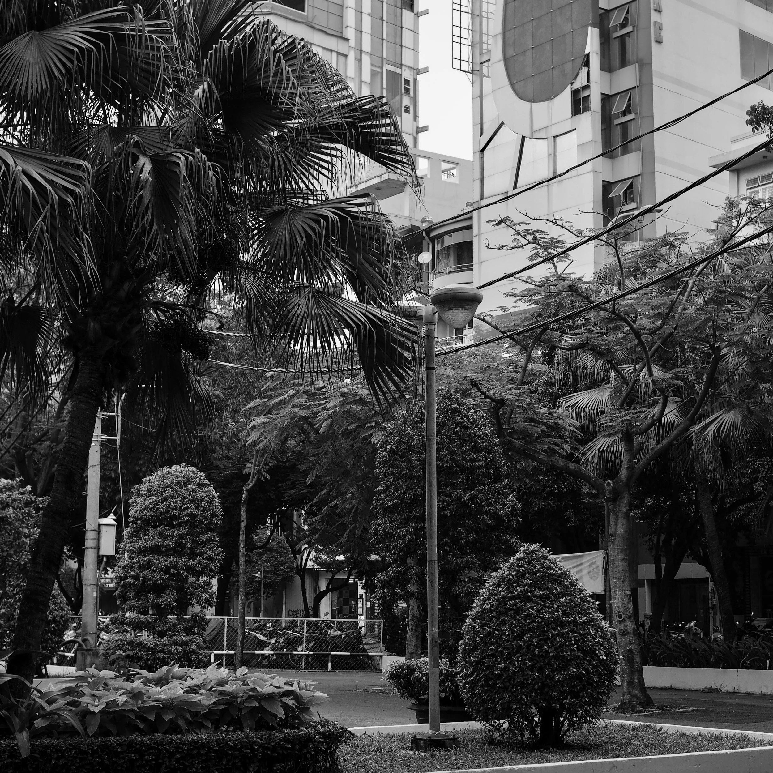 My favorite park in Saigon