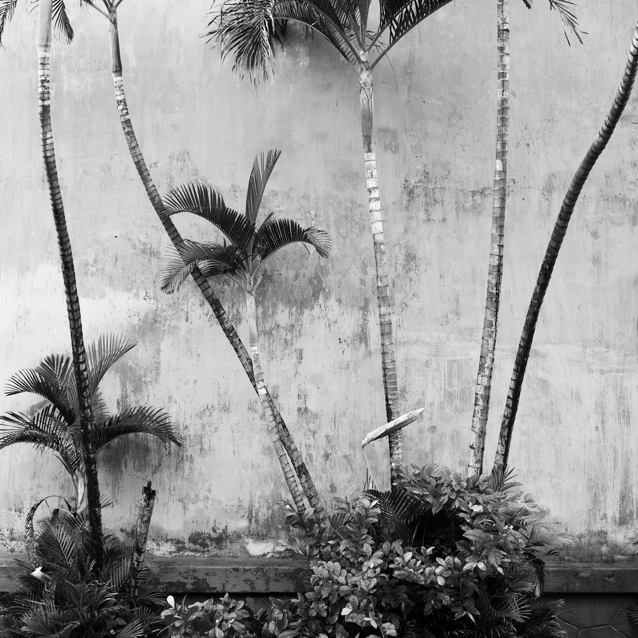 The Temple of Confucius, Hoi An, Viet Nam