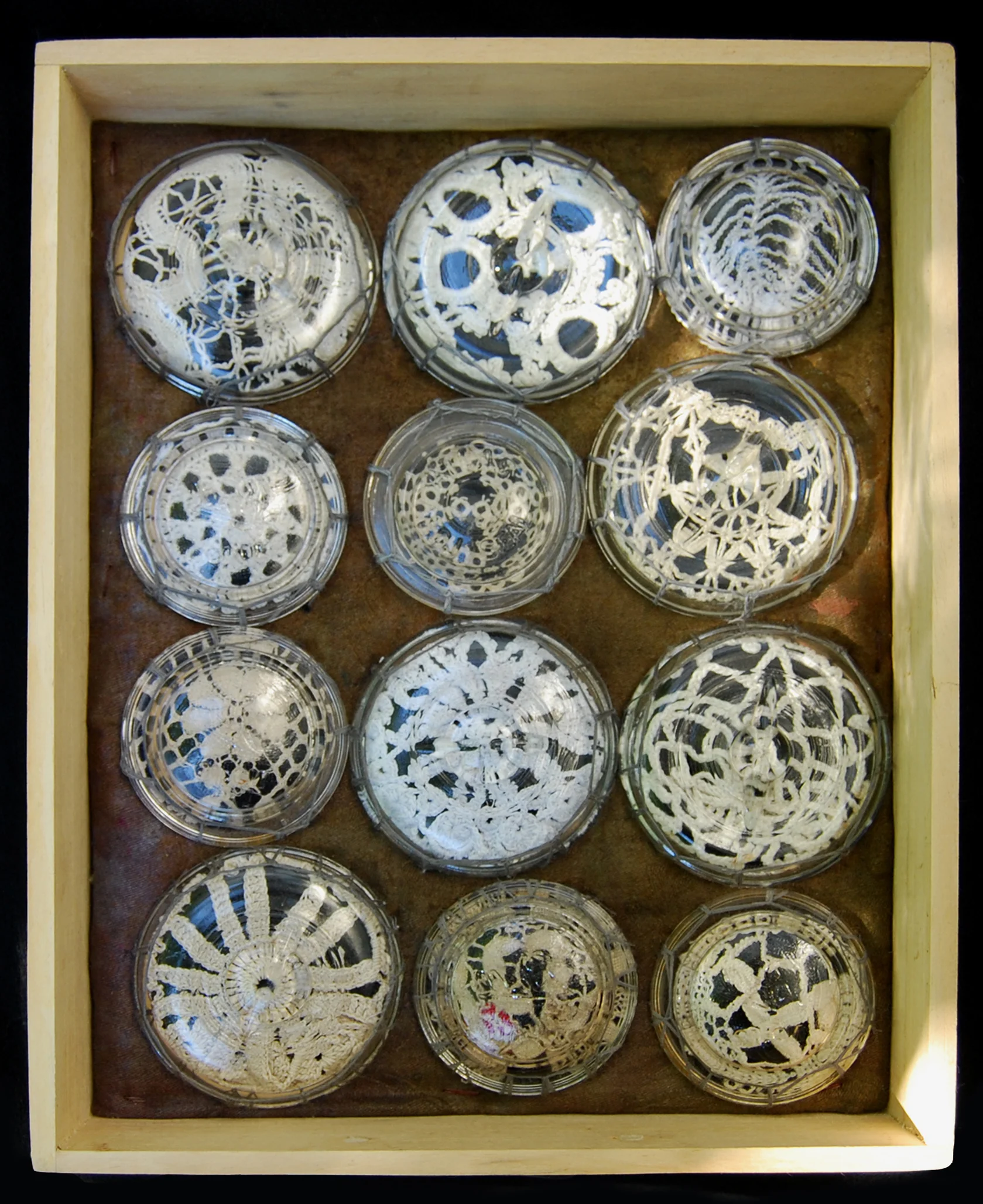 Soft Specimens #2.jpg