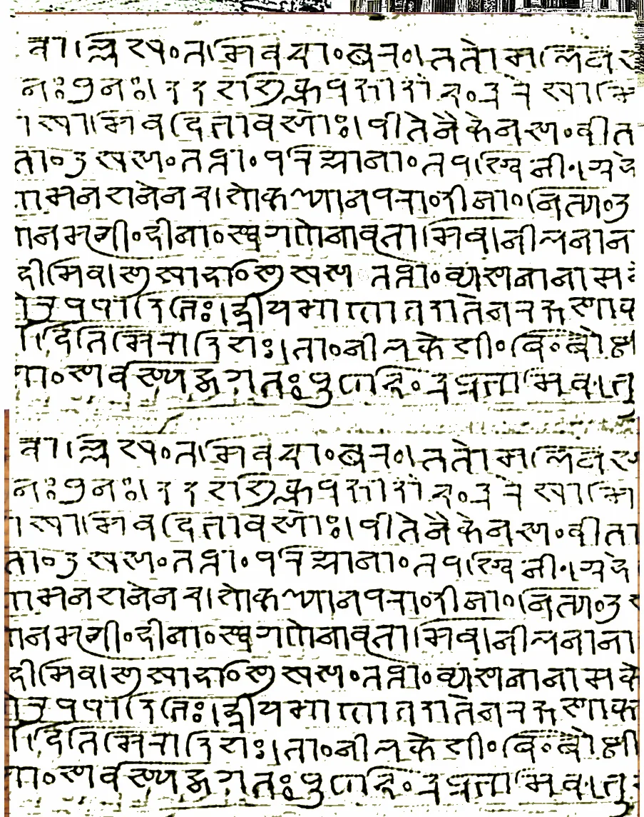 7 palm leaf page jan 21 B script.jpg