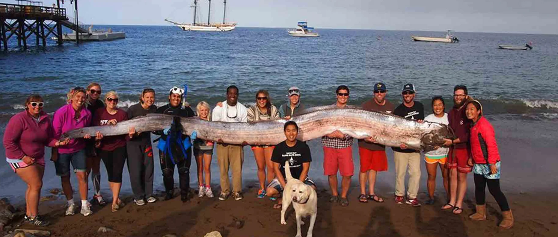 4 blog modern sea monsters 2.jpg