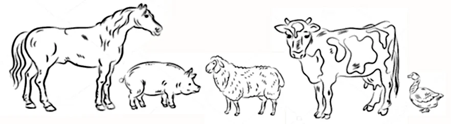 blog farm.jpg