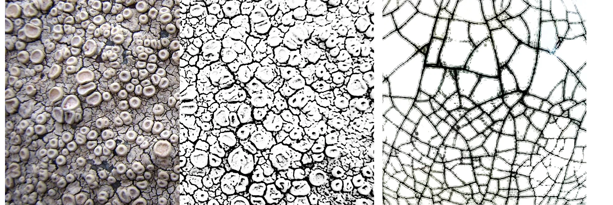  unknown stuff photoshopped stuff raku glaze crackle