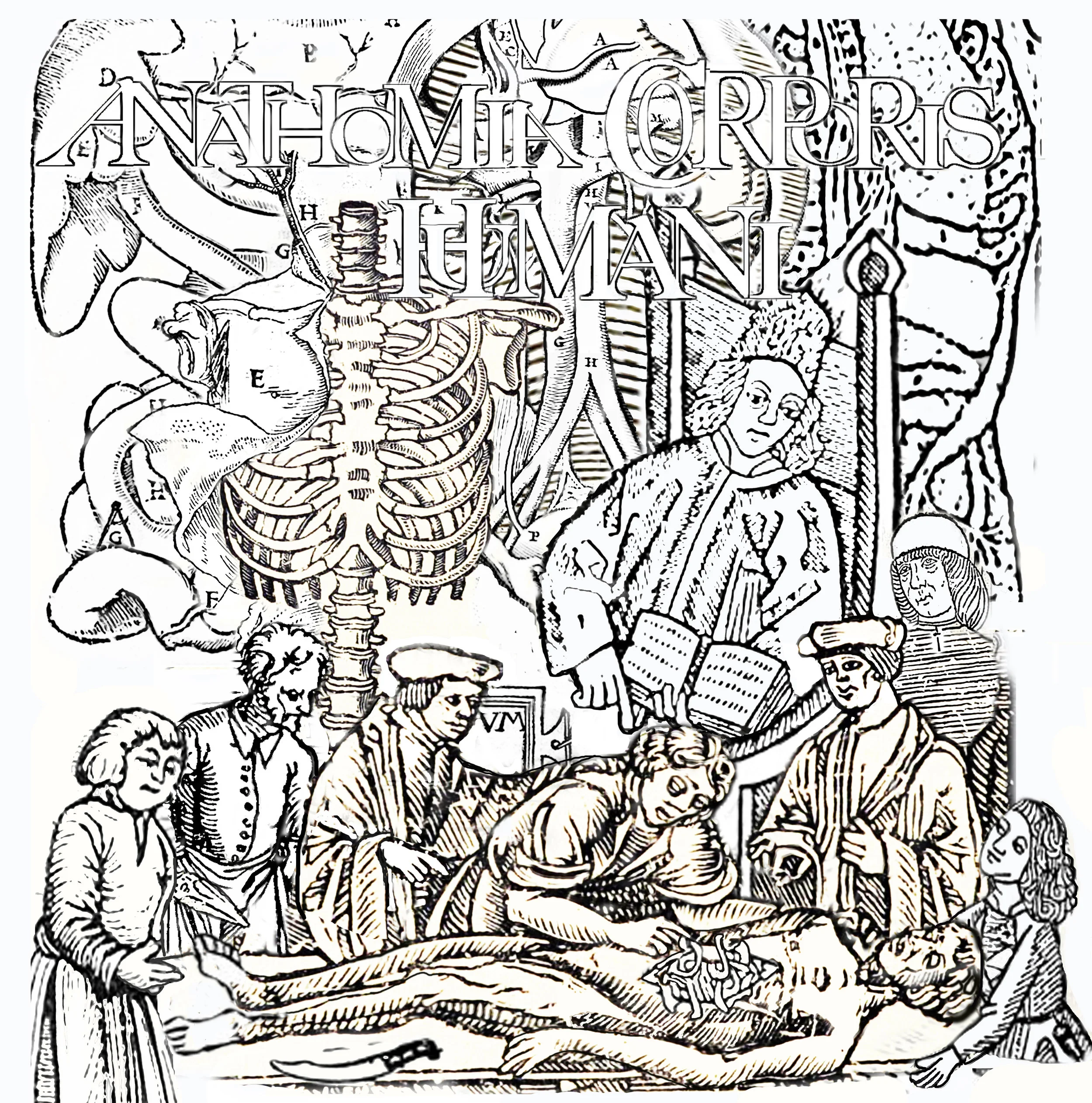 8 BLOG composition 3.jpg