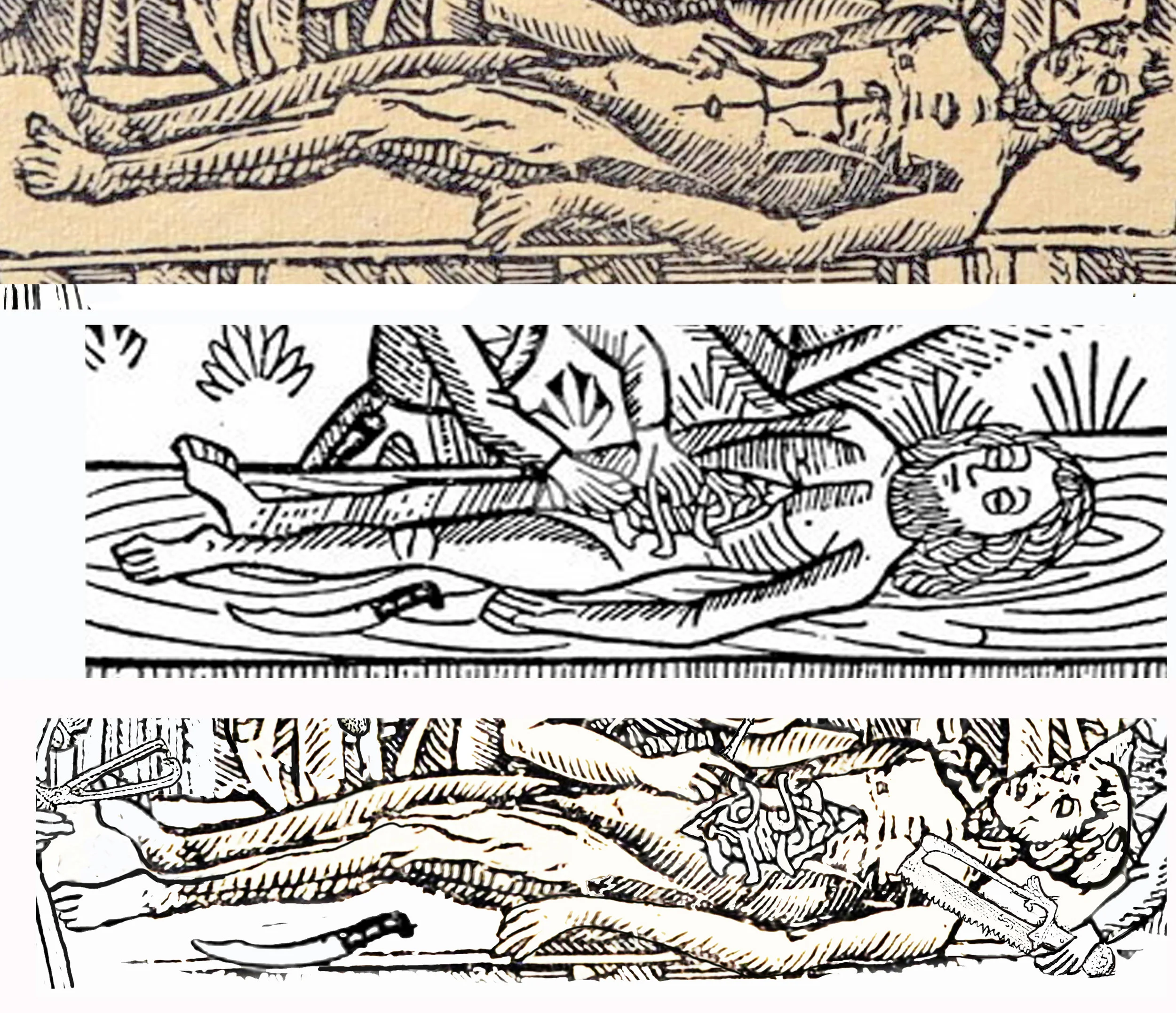 11 BLOG corpses.jpg