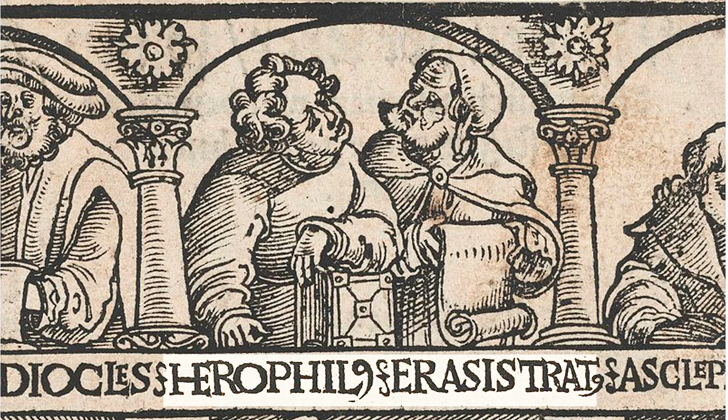 h and e.jpg