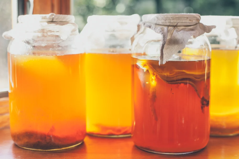 MAMA'Z LOVE Kombucha Tea