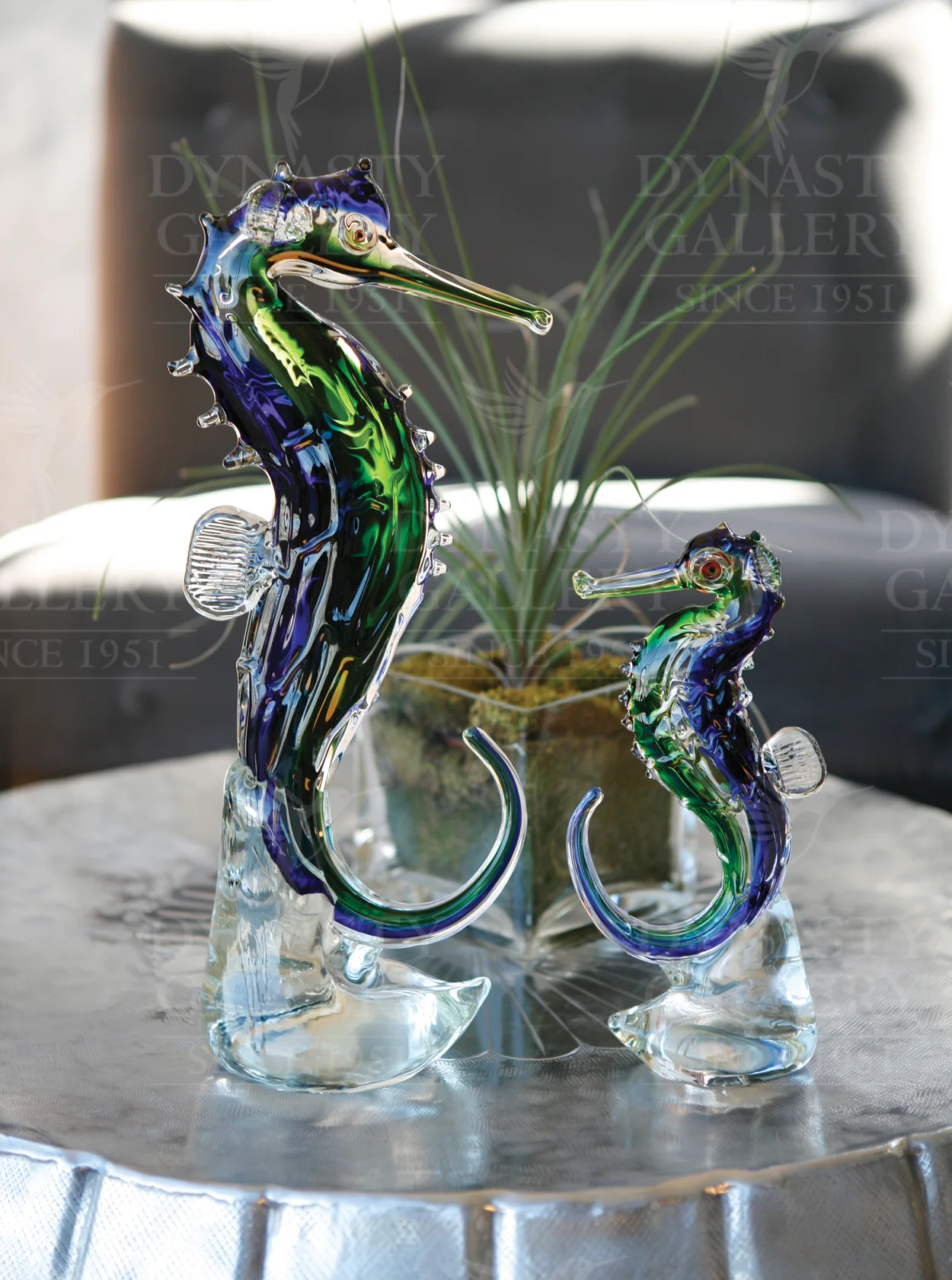 PB_pg23_seahorse.jpg