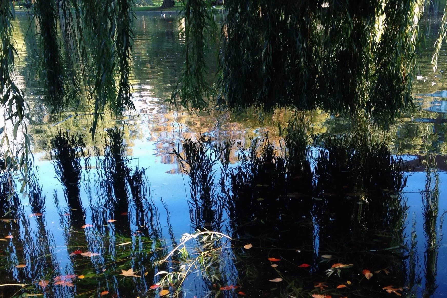 Reflection