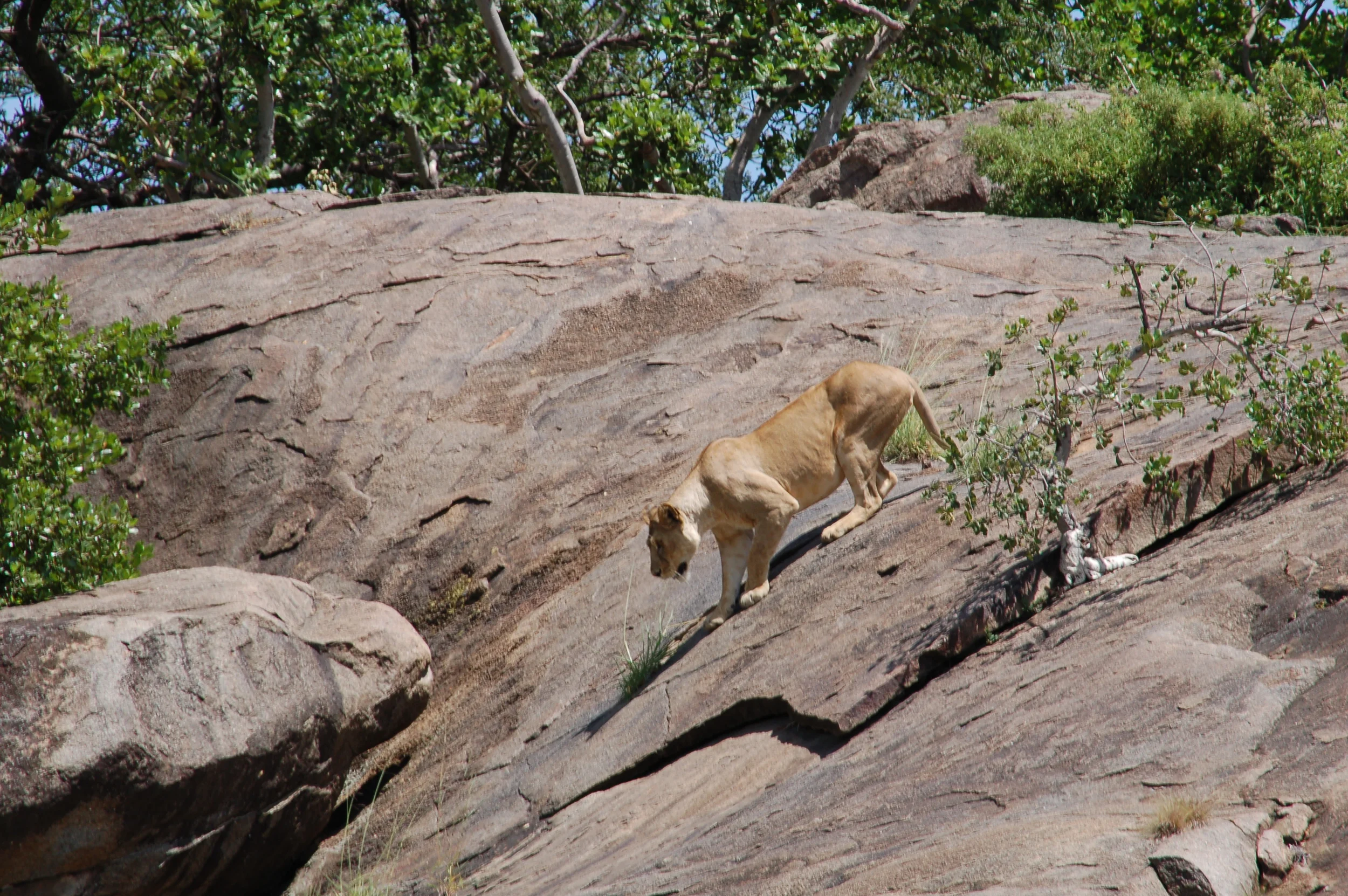 DSC_0643.JPG