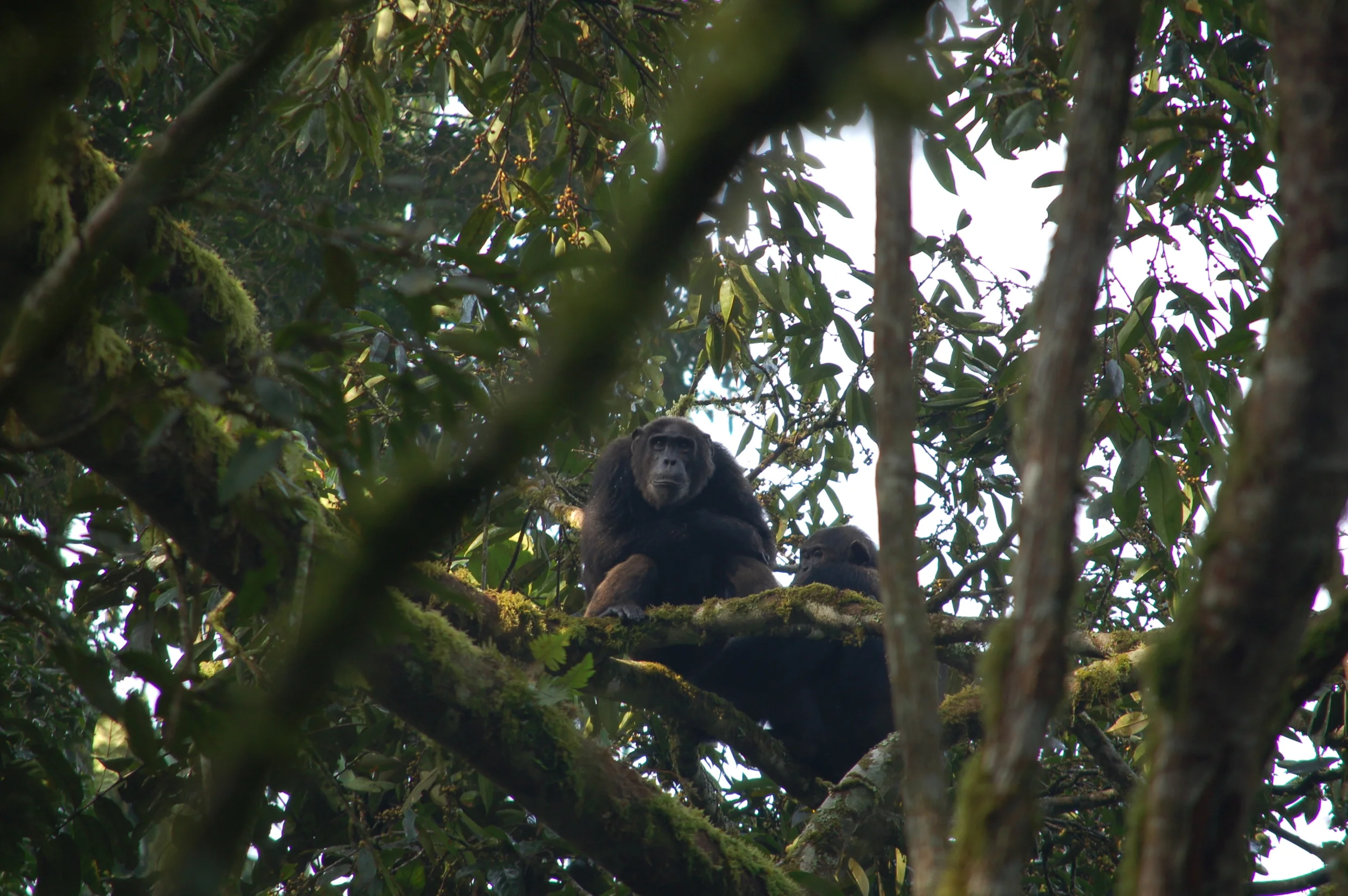 DSC_0180.JPG