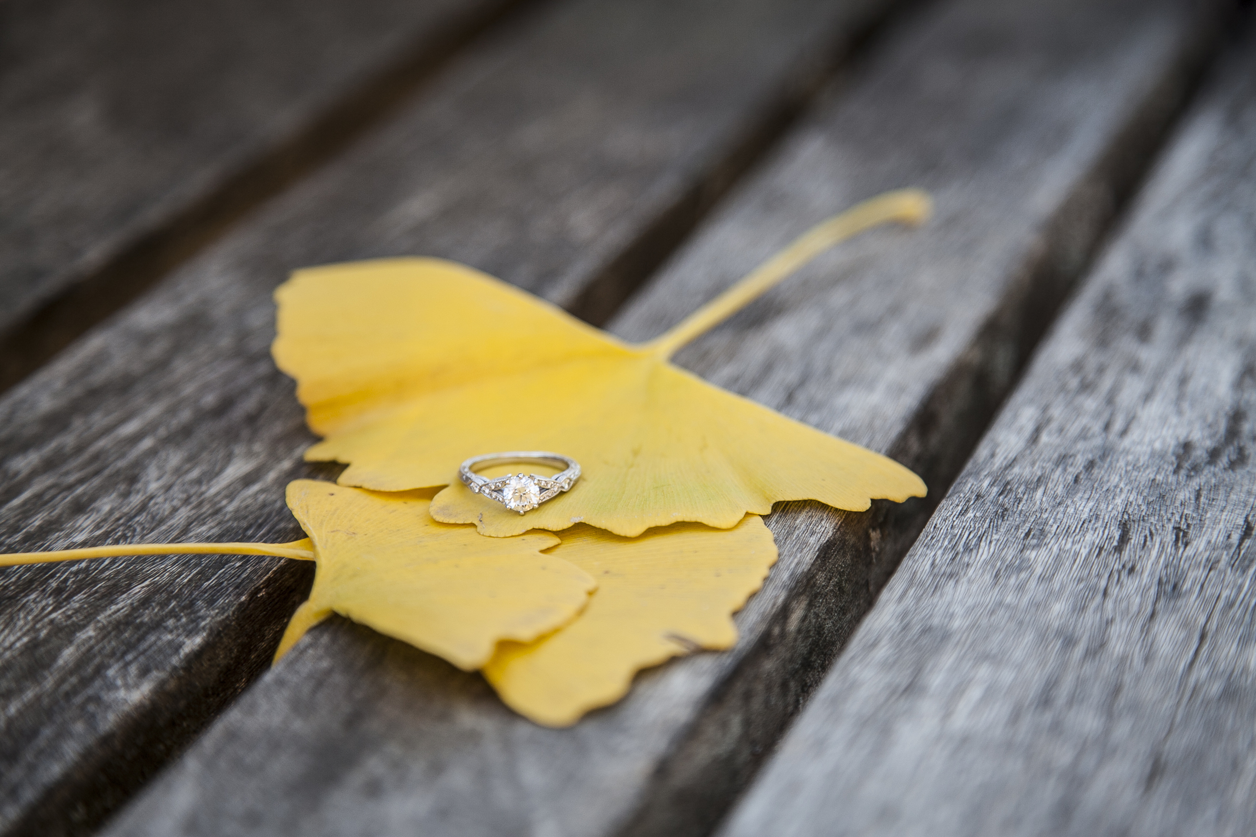 Heather&Tyler-68.jpg
