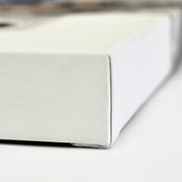 Fine Art Canvas