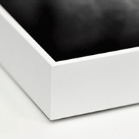 Acrylic Print with Box Frame