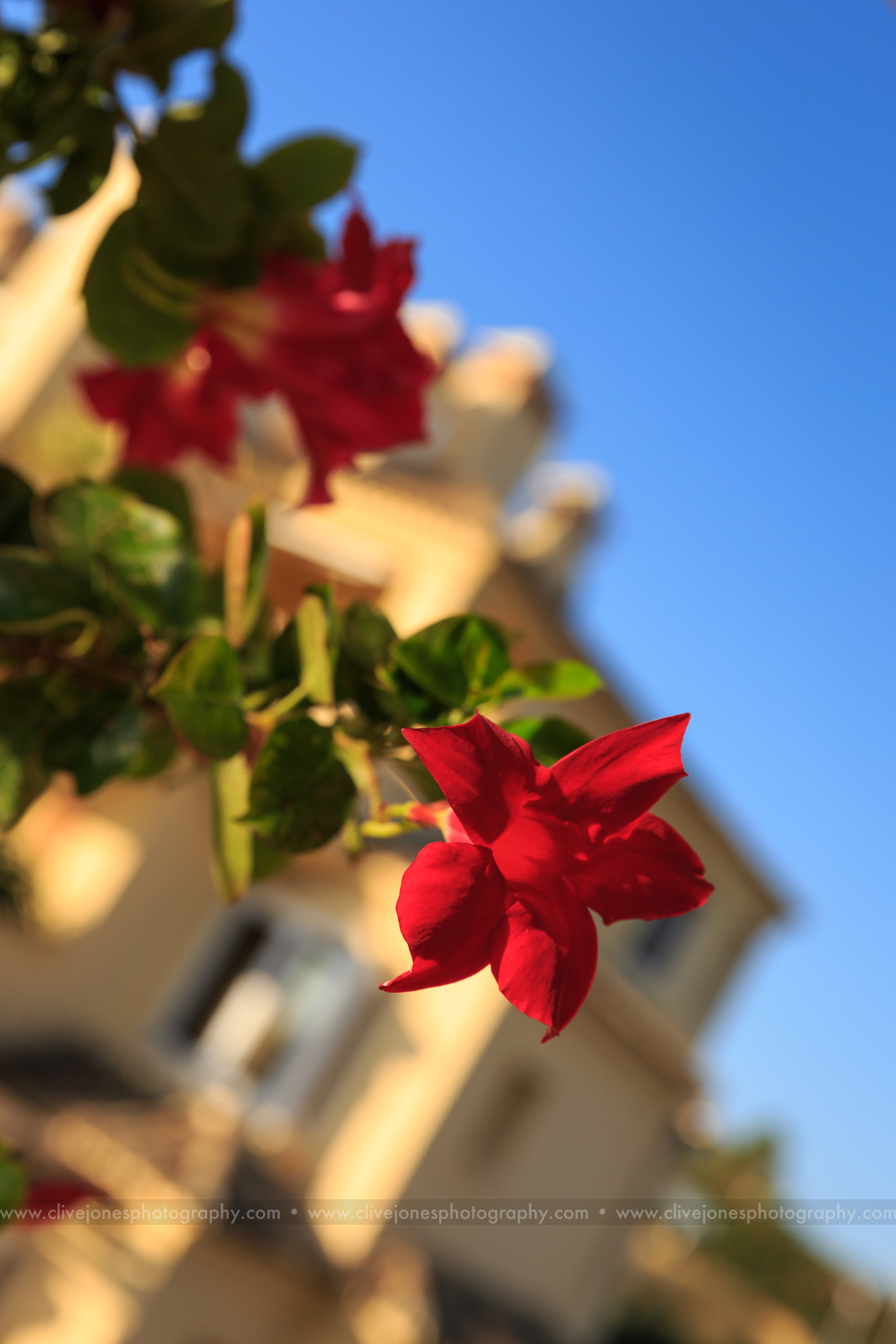 Canon_EOS_5D_Mark_III_IMG_104_0142.jpg