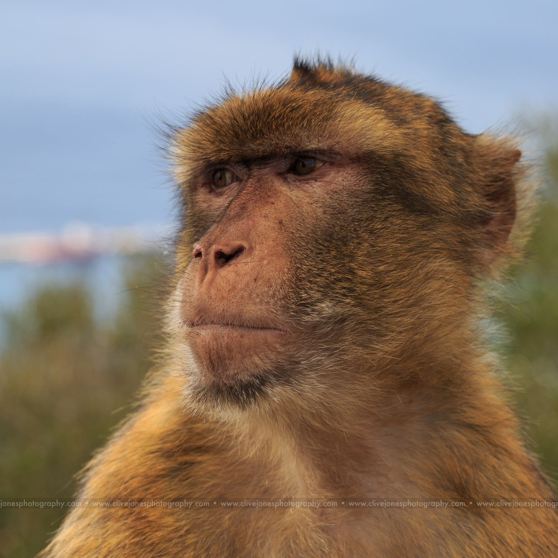 Canon_EOS_5D_Mark_III_IMG_104_0433.jpg