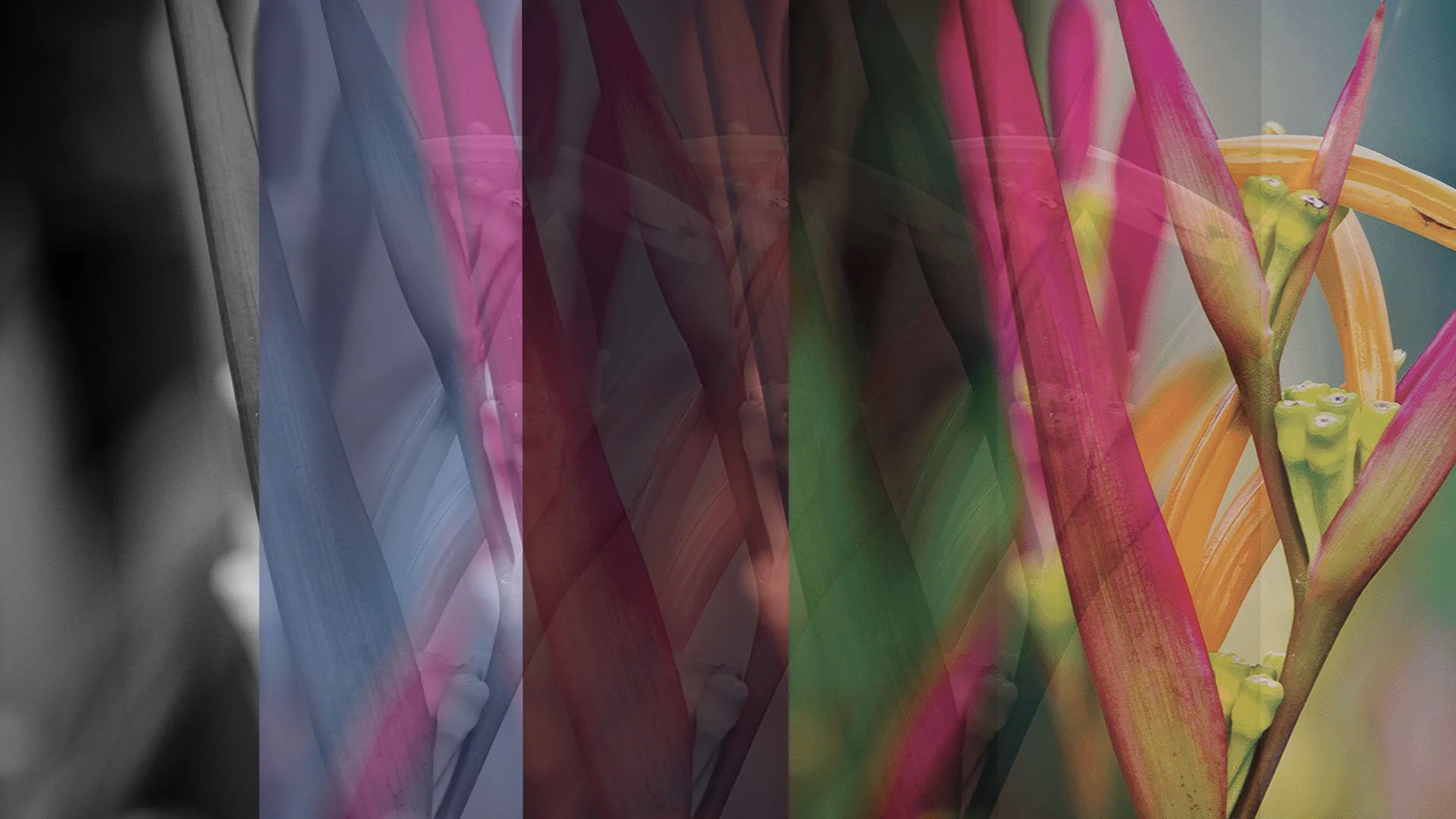 Image Modes in Photoshop — Richard Harrington | Exploring the fusion of ...