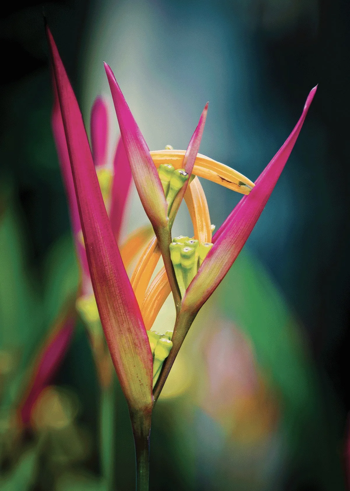 Image Modes in Photoshop — Richard Harrington | Exploring the fusion of ...