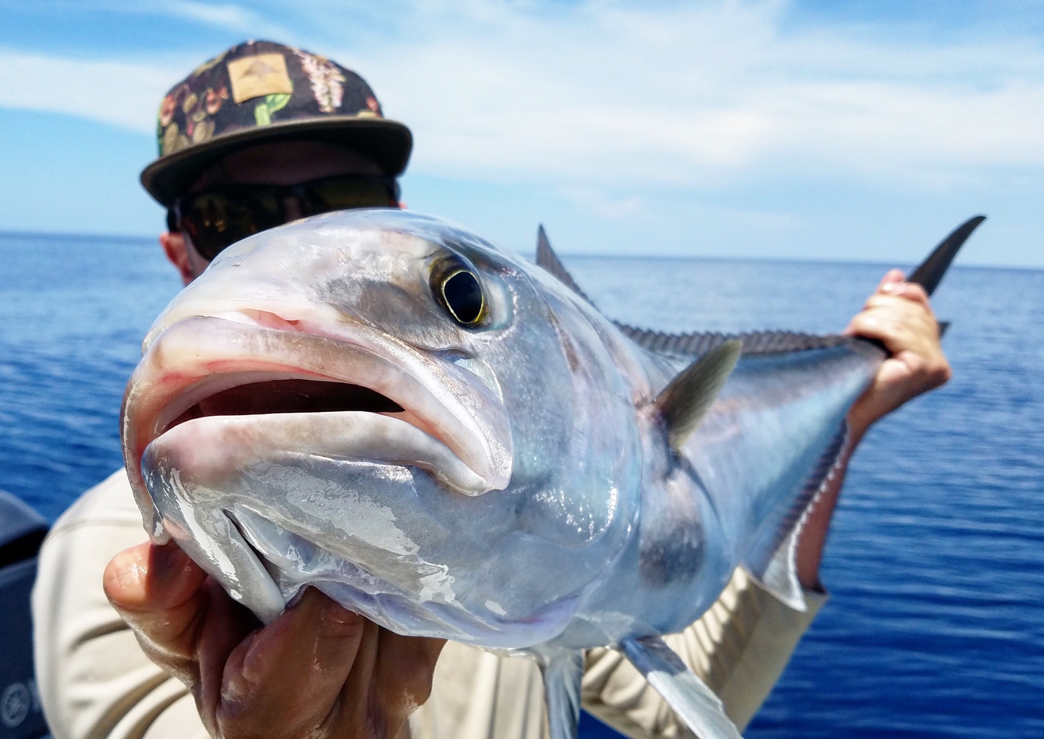 Tips for offshore fly fishing — Taylor Fly Fishing
