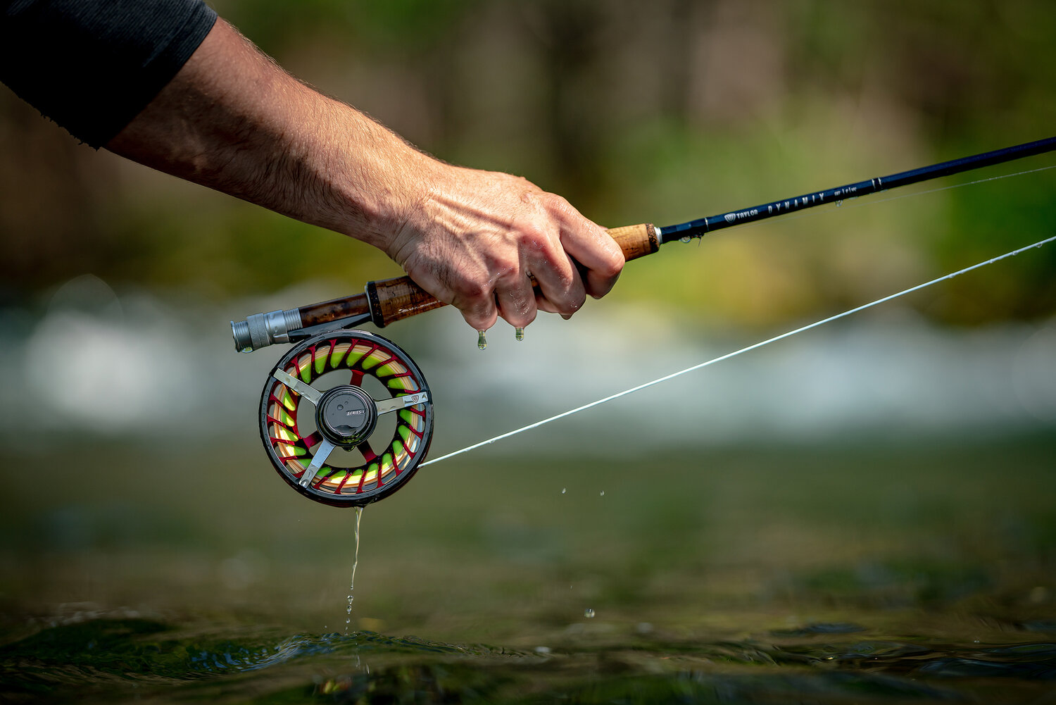 fly fishing reel, Fishing