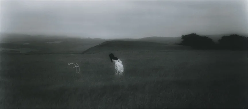 The Awakening , 2007 digital c-print limited edition of five 21 x 45 inches