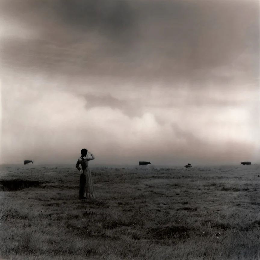 The Fury, 2007 digital c-print limited edition of seven 29.25 x 29.25 inches