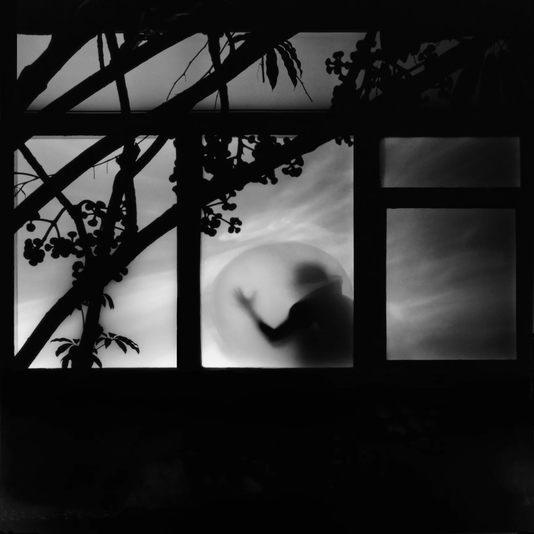 The Moon is a Harsh Mistress, 2009 digital c-print limited edition of five 20 x 20 inches