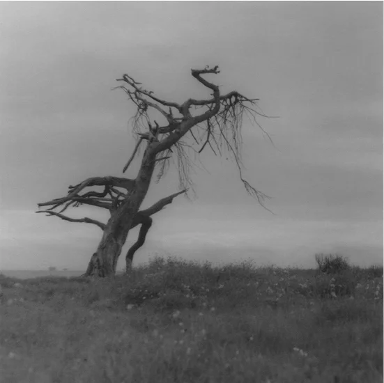 Day Beacon, 2004/2016 silver gelatin print limited edition of five 4.25 x 4.25 inches