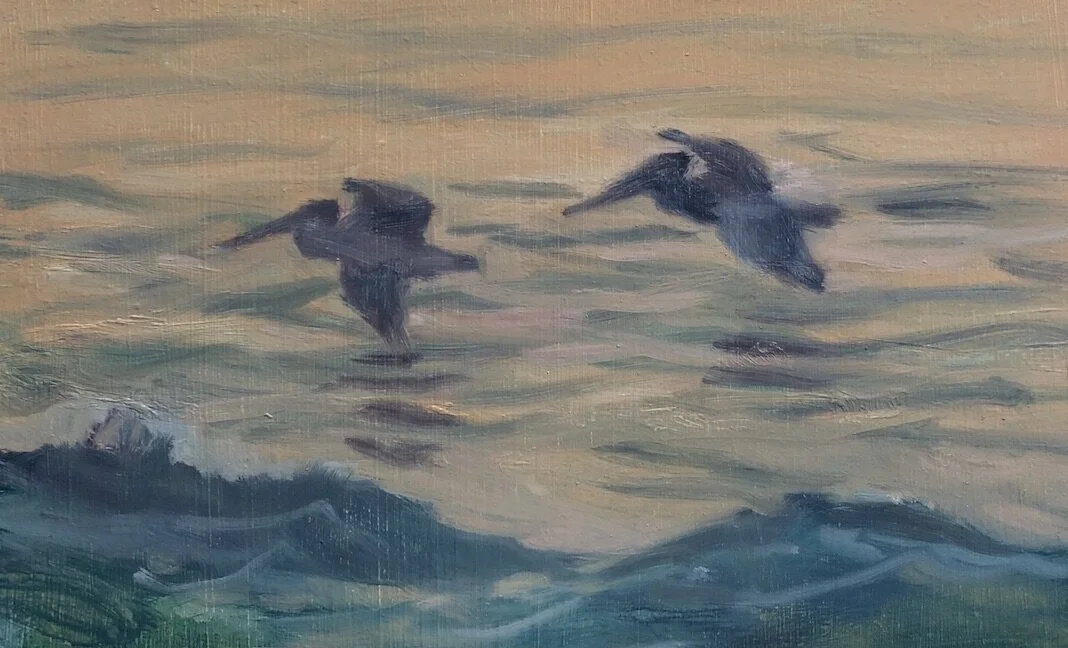 Two Pelicans