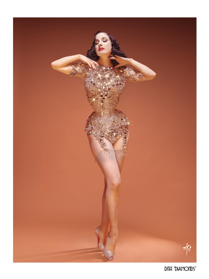 DITA WEBSITE 7.jpg