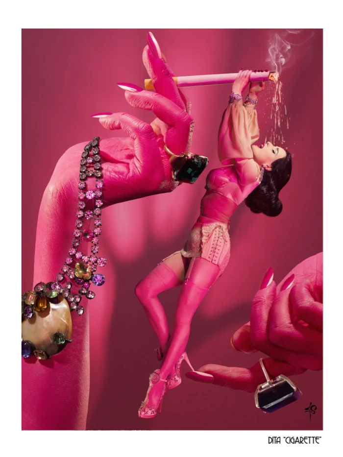 DITA WEBSITE 4.jpg