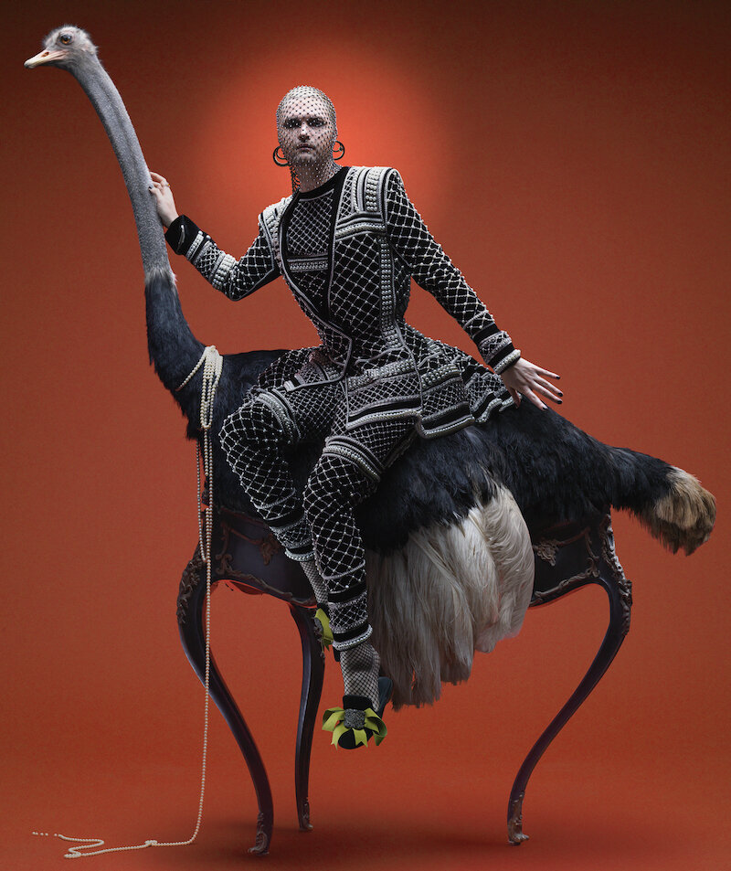 Franz Ostrich Final (1).jpeg