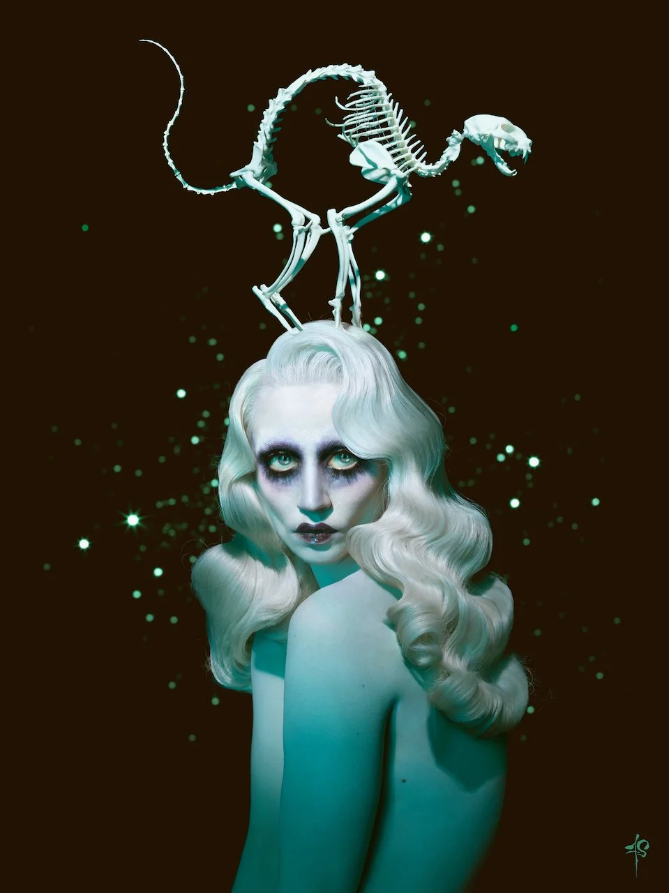 Alli Harvard Scaredy Cat FINAL.jpeg