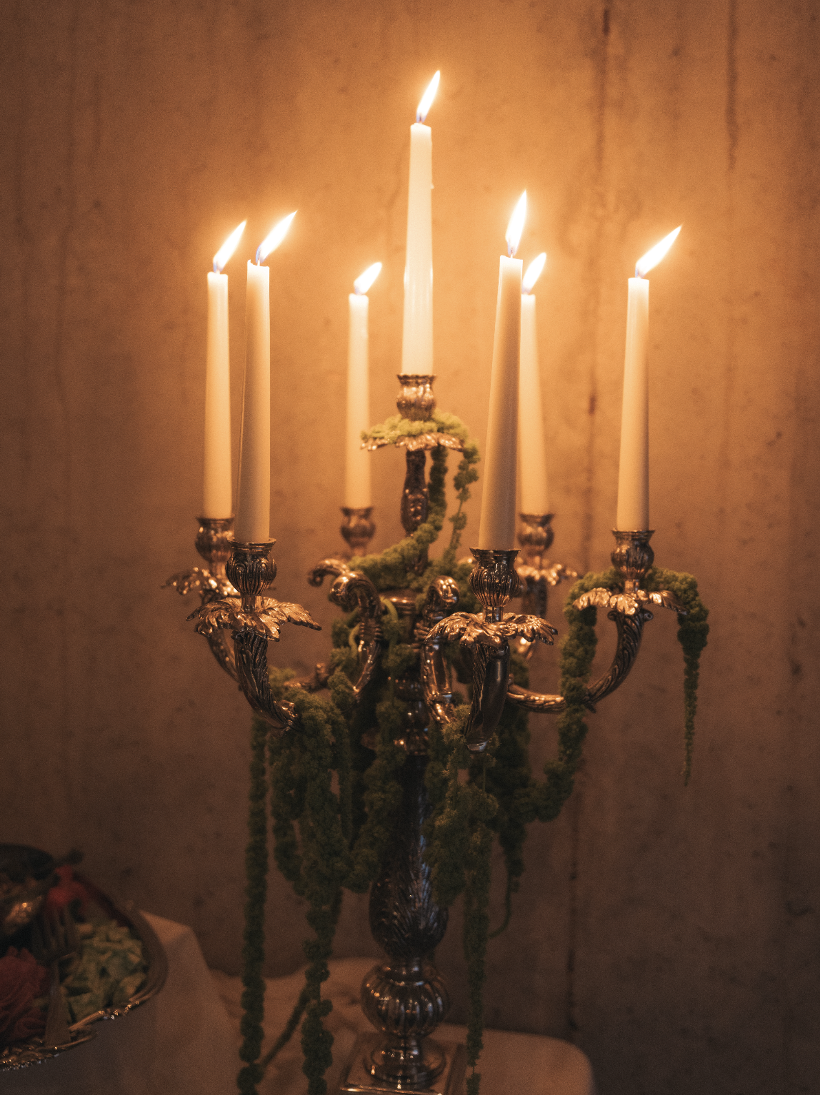 Screenshot 2026-02-19 at 12.36.40 PM.png