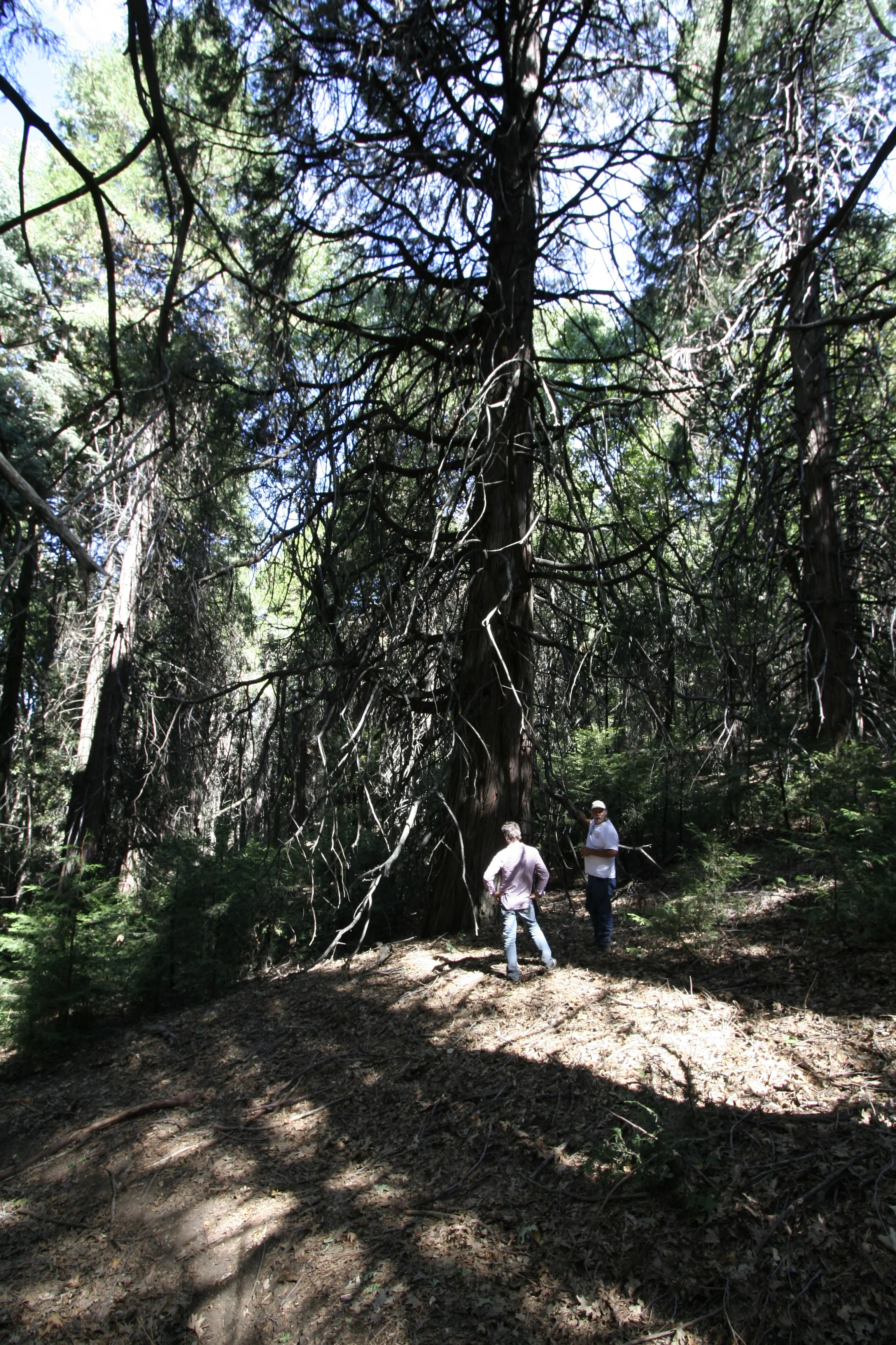 _MG_6685.jpg
