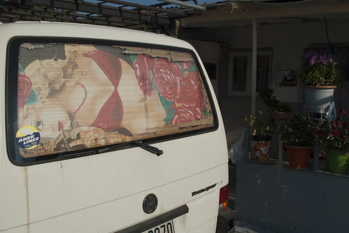 Truck lady copy.JPG