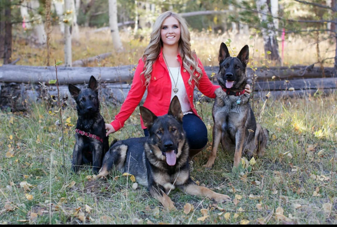 low energy german shepherd