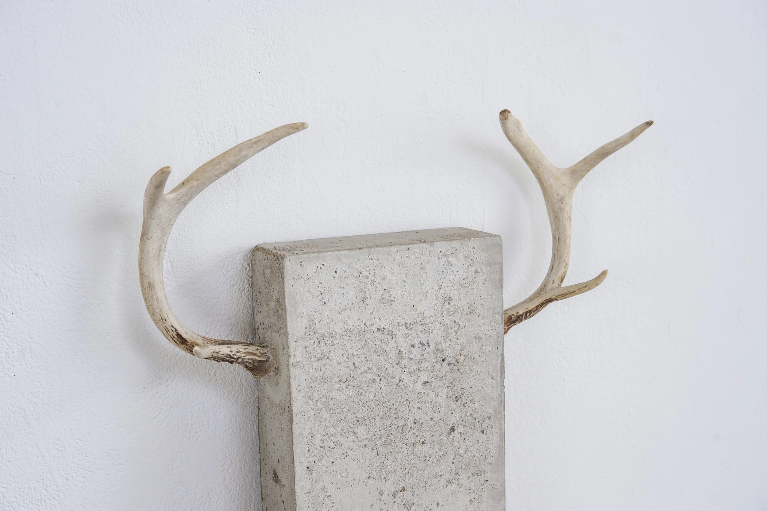 Deer2.jpg