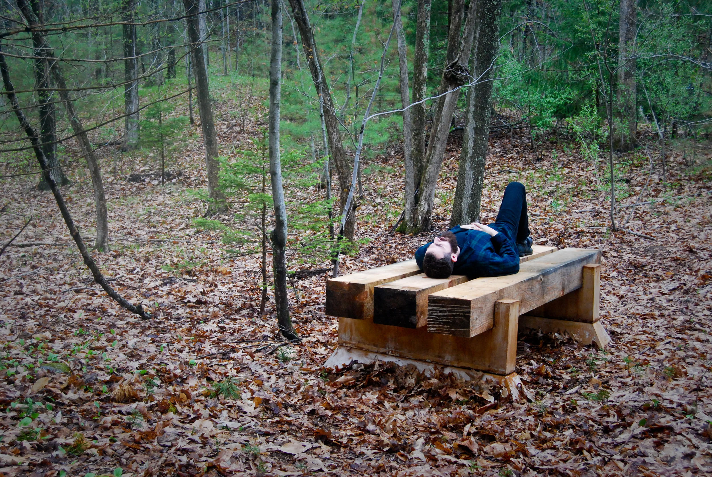 Woodland Bench