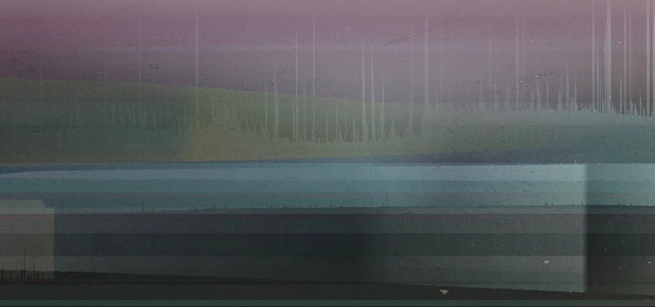 midnight fields