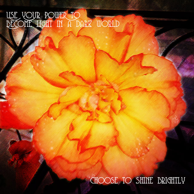 "Shine" haiku & edits by Stephanie Loomis photo by Sherilee Ifland elements from Design Cuts