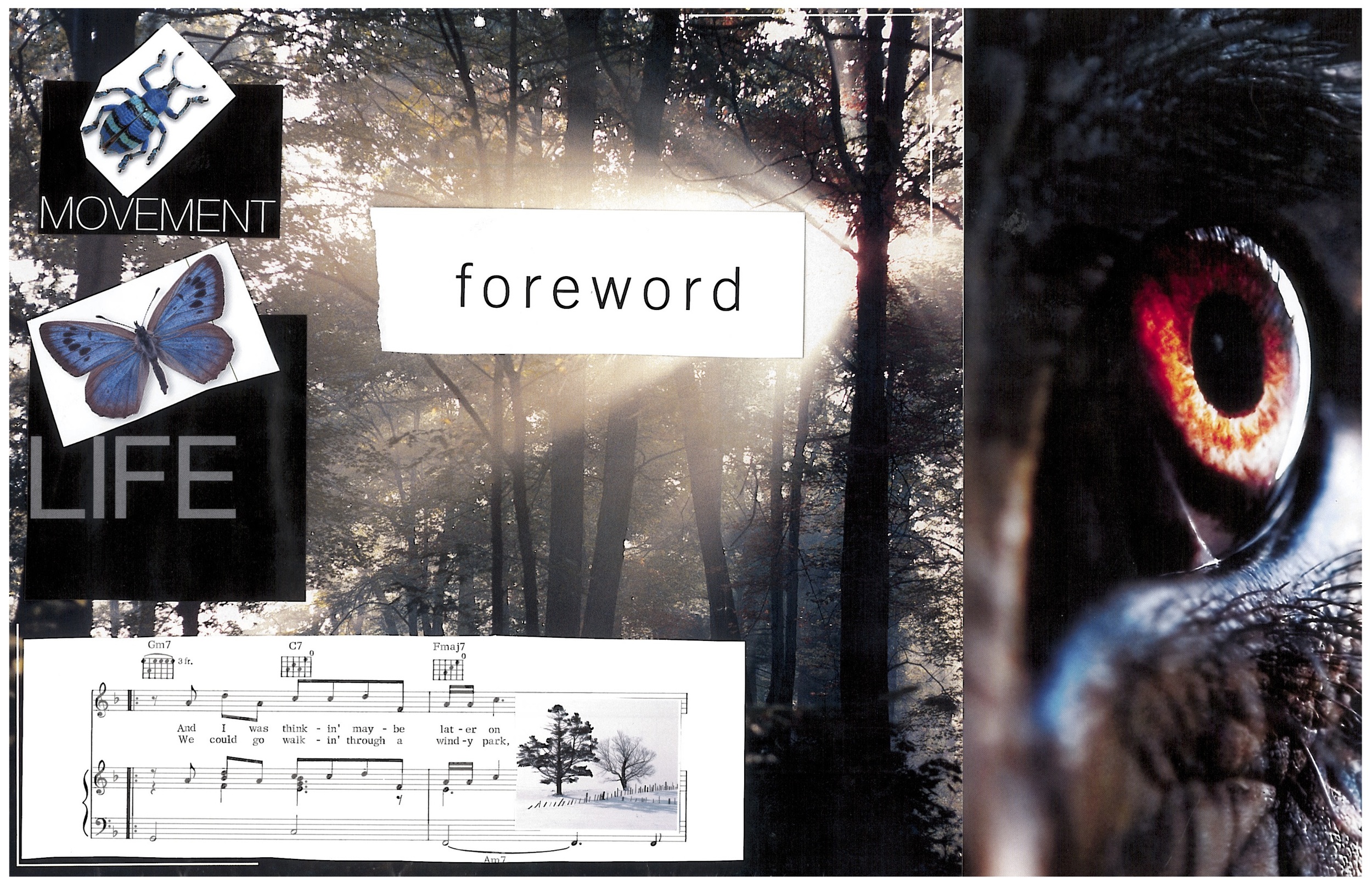 Foreword by Rachel Sanders