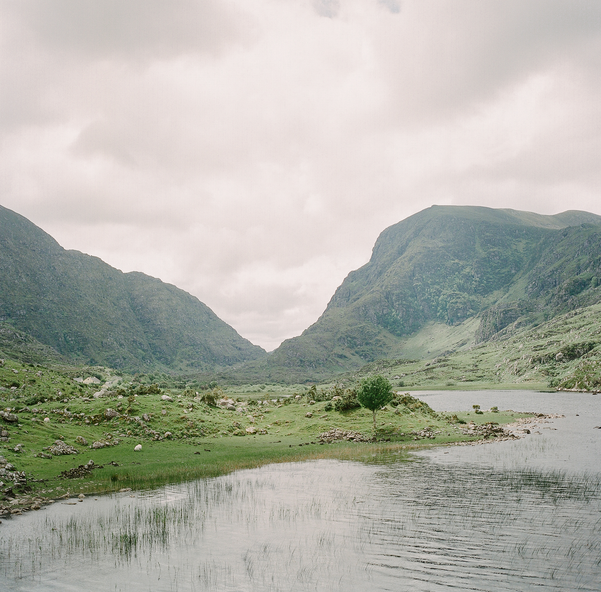 Ireland on Film (Katherine Jury) 34.JPG