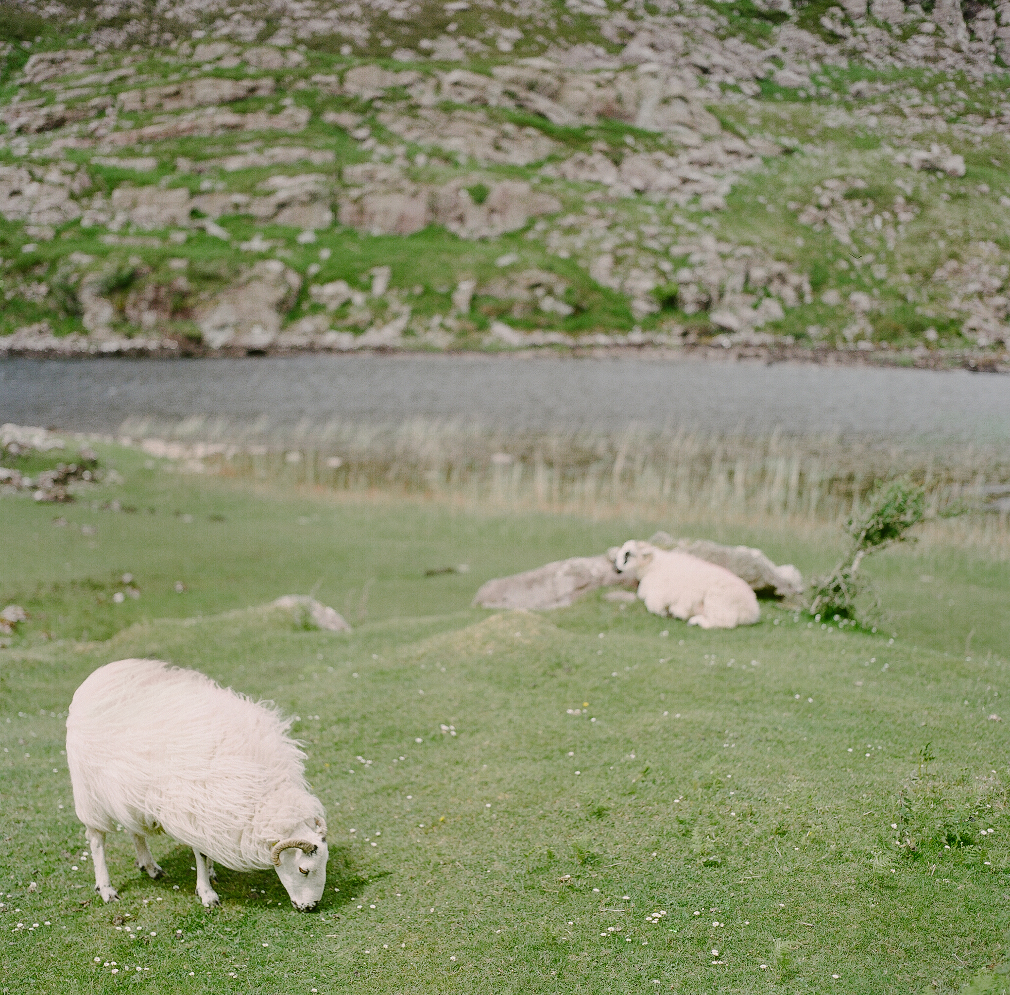 Ireland on Film (Katherine Jury) 36.JPG